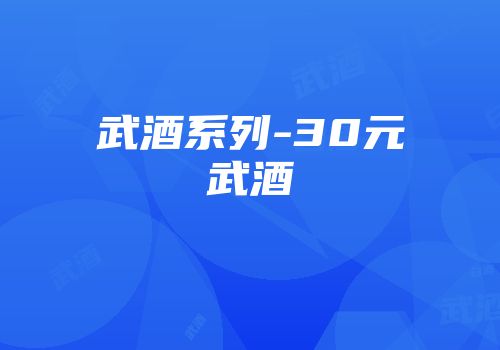 武酒系列-30元武酒