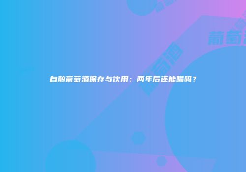 自酿葡萄酒保存与饮用：两年后还能喝吗？