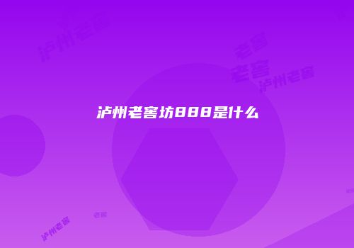 泸州老窖坊888是什么