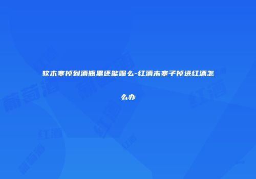 软木塞掉到酒瓶里还能喝么-红酒木塞子掉进红酒怎么办