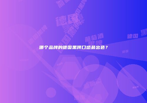 哪个品牌的德国黑啤口感最出色？
