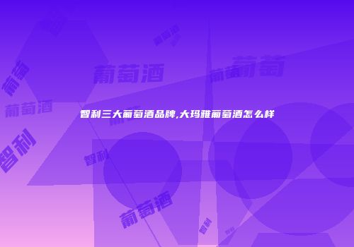 智利三大葡萄酒品牌,大玛雅葡萄酒怎么样