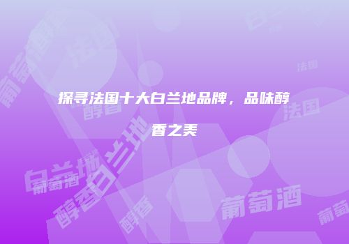 探寻法国十大白兰地品牌，品味醇香之美