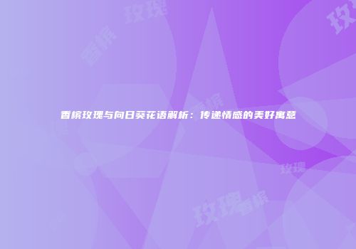 香槟玫瑰与向日葵花语解析：传递情感的美好寓意