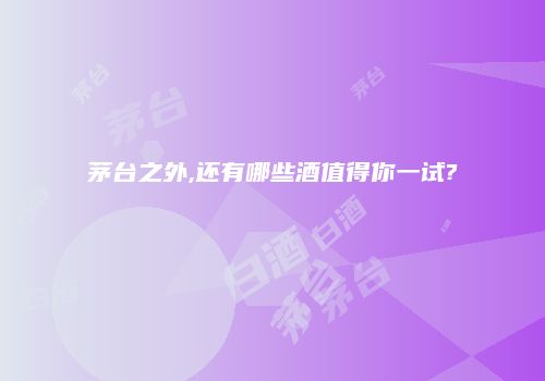 茅台之外,还有哪些酒值得你一试?