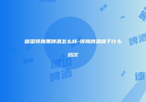 德国领鹰黑啤酒怎么样-领鹰啤酒属于什么档次