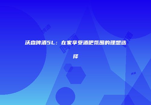 沃森啤酒5L：在家享受酒吧氛围的理想选择