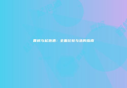 香槟与起泡酒：全面比较与选购指南