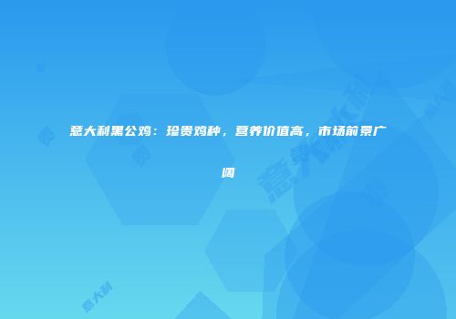 意大利黑公鸡：珍贵鸡种，营养价值高，市场前景广阔
