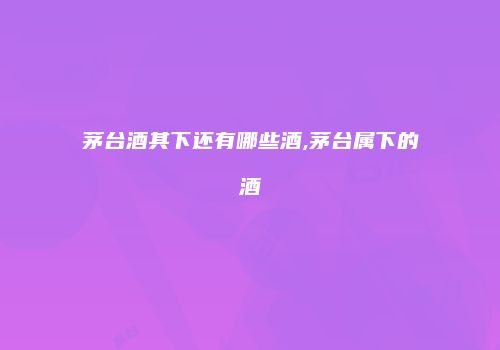茅台酒其下还有哪些酒,茅台属下的酒