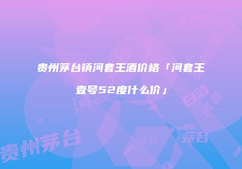 贵州茅台镇河套王酒价格「河套王壹号52度什么价」