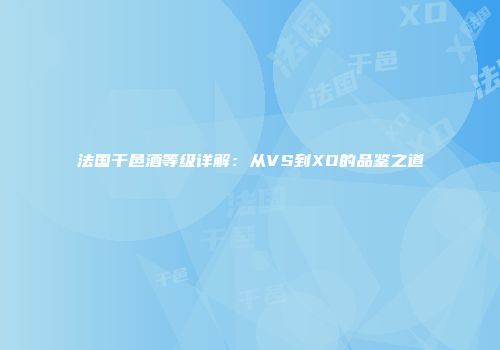 法国干邑酒等级详解：从VS到XO的品鉴之道
