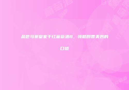 品尝马赛皇家干红葡萄酒B，领略醇香美妙的口感