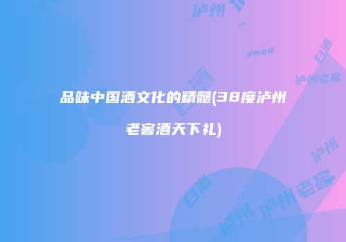 品味中国酒文化的精髓(38度泸州老窖酒天下礼)