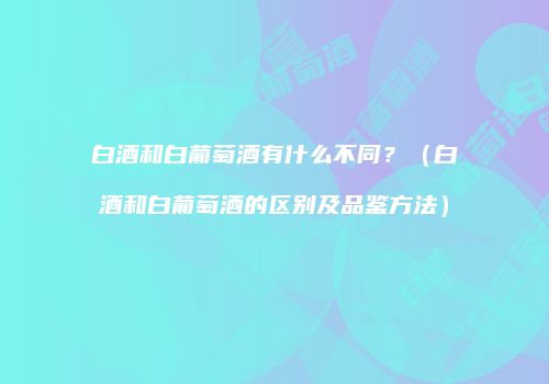 白酒和白葡萄酒有什么不同？（白酒和白葡萄酒的区别及品鉴方法）