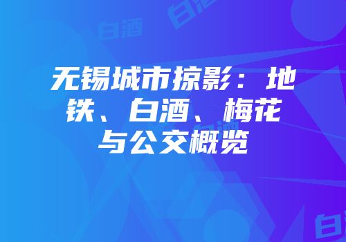 无锡城市掠影：地铁、白酒、梅花与公交概览
