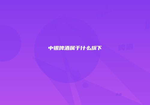 中银啤酒属于什么旗下