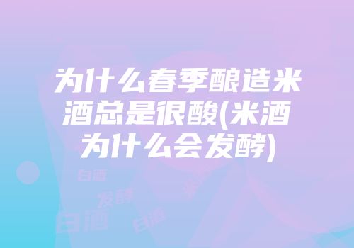 为什么春季酿造米酒总是很酸(米酒为什么会发酵)