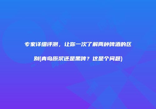 专家详细评测，让你一次了解两种啤酒的区别(青岛原浆还是黑啤？这是个问题)
