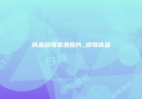 铁盒迎驾贡酒图片_迎驾铁盒