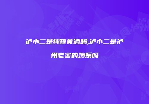泸小二是纯粮食酒吗,泸小二是泸州老窖的嫡系吗