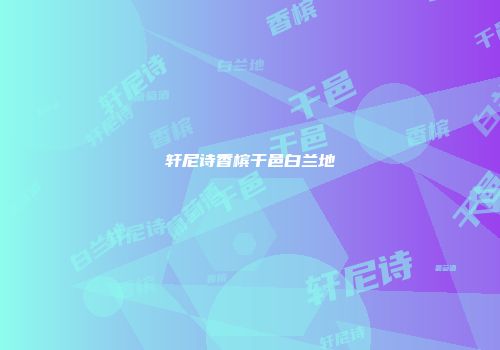 轩尼诗香槟干邑白兰地