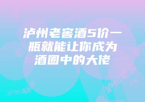 泸州老窖酒5价一瓶就能让你成为酒圈中的大佬