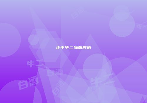 正中牛二陈酿白酒