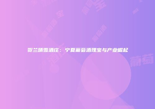 贺兰晴雪酒庄：宁夏葡萄酒瑰宝与产业崛起