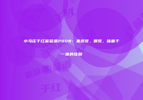 小马庄干红葡萄酒2008：集视觉、嗅觉、味蕾于一体的佳酿