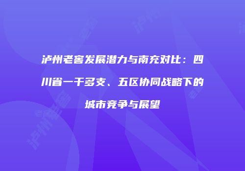 泸州老窖发展潜力与南充对比：四川省一干多支、五区协同战略下的城市竞争与展望
