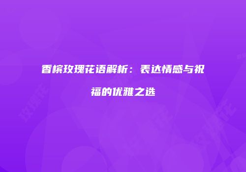 香槟玫瑰花语解析：表达情感与祝福的优雅之选