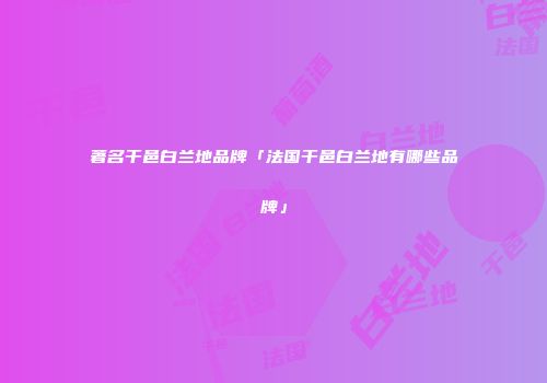 著名干邑白兰地品牌「法国干邑白兰地有哪些品牌」
