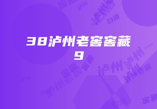 38泸州老窖窖藏9