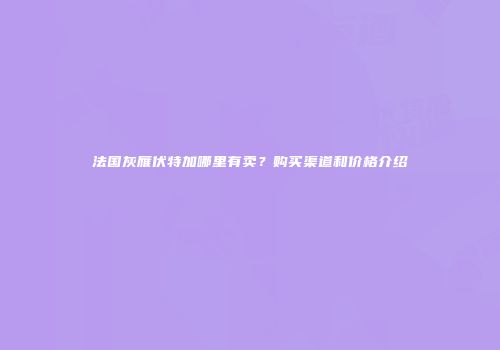 法国灰雁伏特加哪里有卖？购买渠道和价格介绍