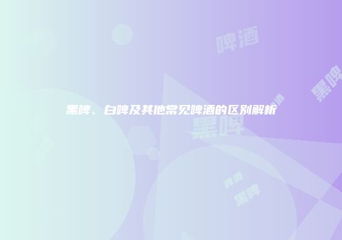 黑啤、白啤及其他常见啤酒的区别解析