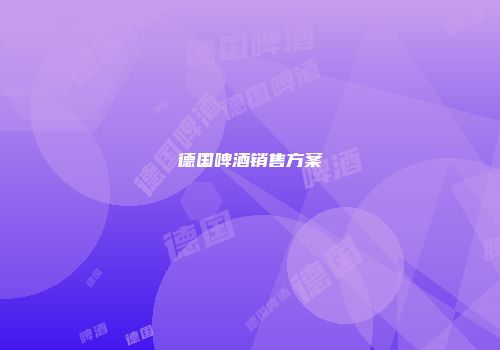 德国啤酒销售方案