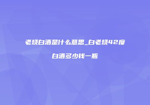老烧白酒是什么意思_白老烧42度白酒多少钱一瓶