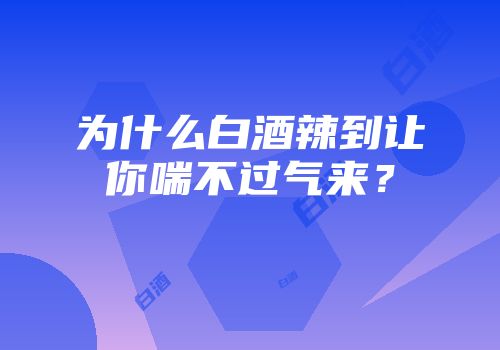 为什么白酒辣到让你喘不过气来？