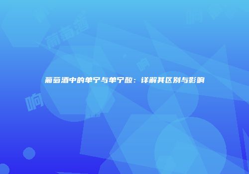 葡萄酒中的单宁与单宁酸：详解其区别与影响