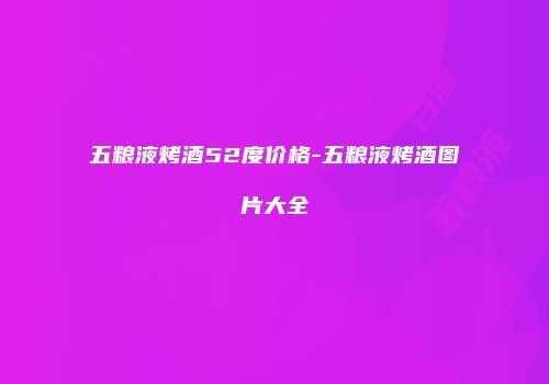 五粮液烤酒52度价格-五粮液烤酒图片大全