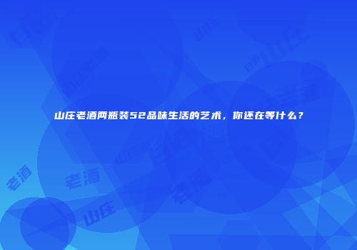 山庄老酒两瓶装52品味生活的艺术，你还在等什么？