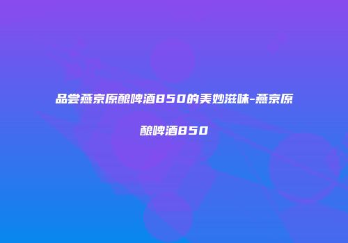 品尝燕京原酿啤酒850的美妙滋味-燕京原酿啤酒850