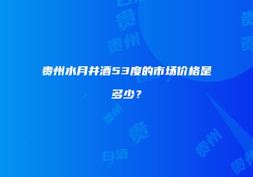 贵州水月井酒53度的市场价格是多少？