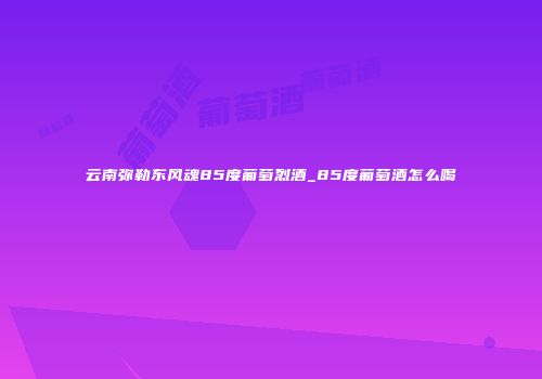 云南弥勒东风魂85度葡萄烈酒_85度葡萄酒怎么喝