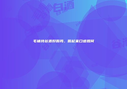 毛铺纯谷酒好喝吗，喝起来口感如何