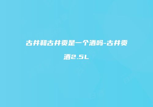 古井和古井贡是一个酒吗-古井贡酒2.5L