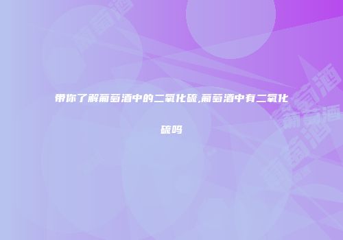 带你了解葡萄酒中的二氧化硫,葡萄酒中有二氧化硫吗
