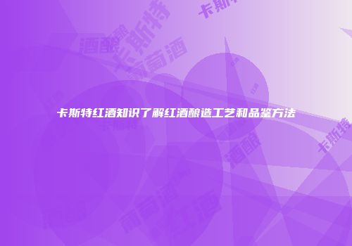 卡斯特红酒知识了解红酒酿造工艺和品鉴方法