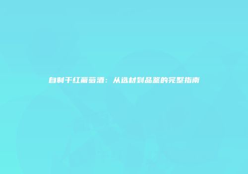 自制干红葡萄酒：从选材到品鉴的完整指南